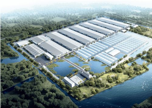 浙江千噸級南美白對蝦工廠化養(yǎng)殖場 融合兩大全球先進(jìn)技術(shù)，引領(lǐng)產(chǎn)業(yè)新篇章