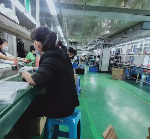 破解用工荒迷思 從浙江技術(shù)服務(wù)看勞動力市場的價值回歸